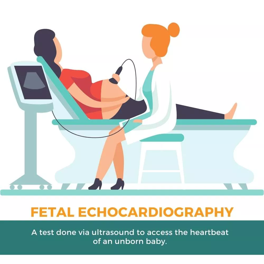 A test done via ultrasound to access the heartbeat of an unborn baby. - Fetal Echocardiography Overview