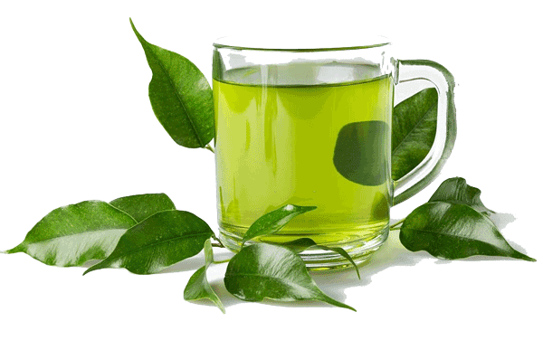 Green Tea - Surprising Facts About Tea